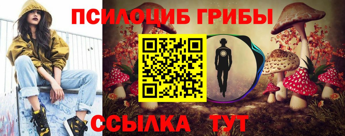 Галлюциногенные грибы Psilocybine cubensis Батайск